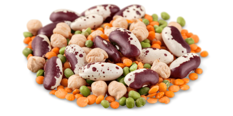 Legumes - Cheapest Protein Foods - FOODFACT
