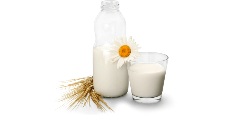 Milk - Cheapest Protein Foods - FOODFACT