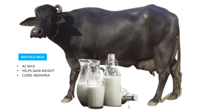 Pure Buffalo Milk- Best Packet Milk in India - FOODFACT