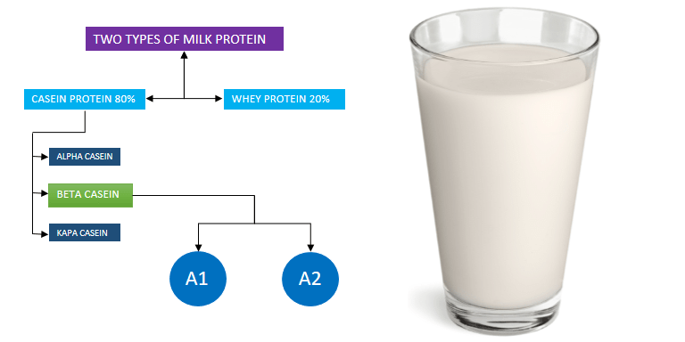 Milk Protein Types - Best Packet Milk in India - FOODFACT