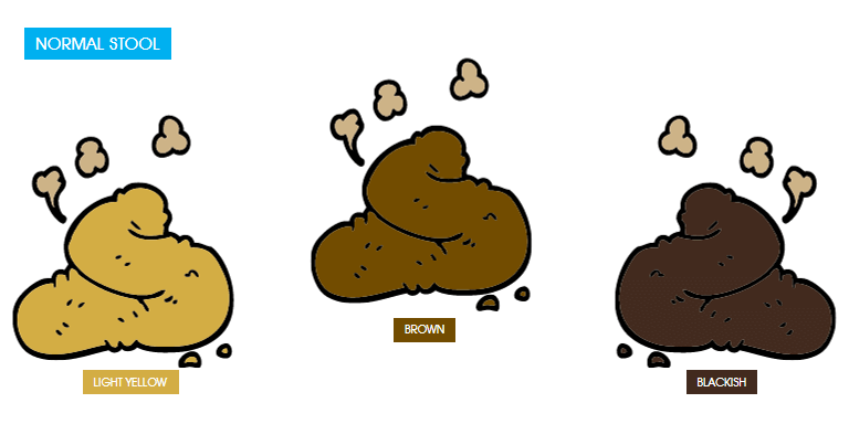 Normal Colour of poop - Healthy Poop - FOODFACT