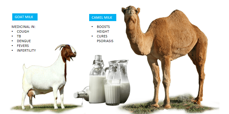 Goat Milk & Camel Milk- Best Packet Milk in India - FOODFACT