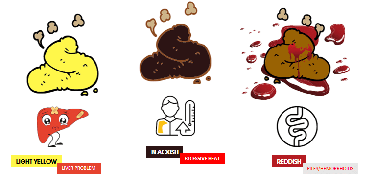 Some Odd colours of poop - Healthy Poop - FOODFACT