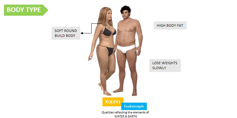 Endomorph Body Type - Train & Diet According to Your Body Type - FOODFACT