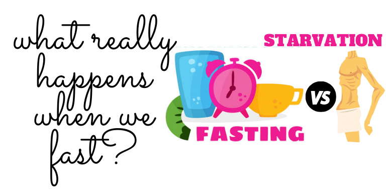 What really happens when we FAST - FOODFACT