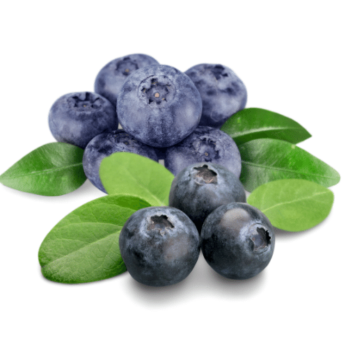 1 Blueberries - Foods That Will Make Your Skin Glow - FOODFACT
