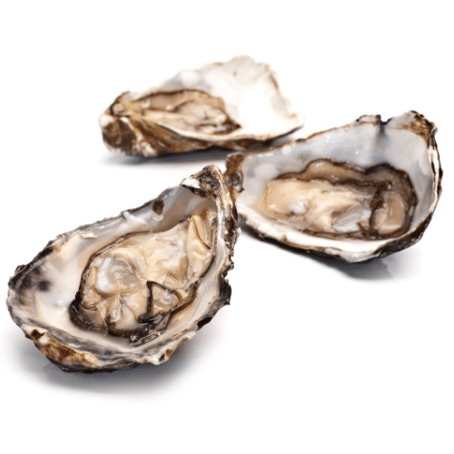 12 Oysters - Foods That Will Make Your Skin Glow - FOODFACT