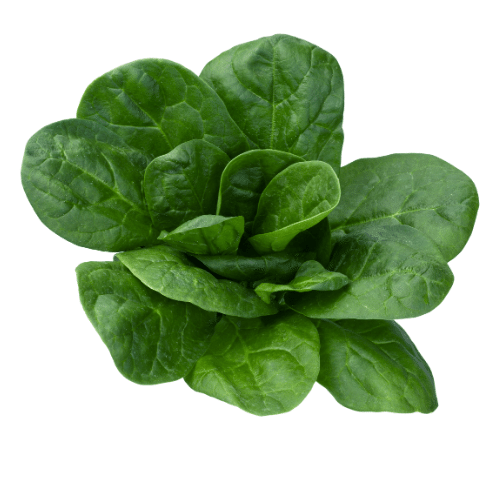 4 Spinach - Foods That Will Make Your Skin Glow - FOODFACT