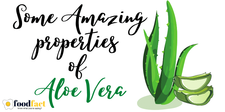 Properties of Aloe Vera - FOODFACT.IN