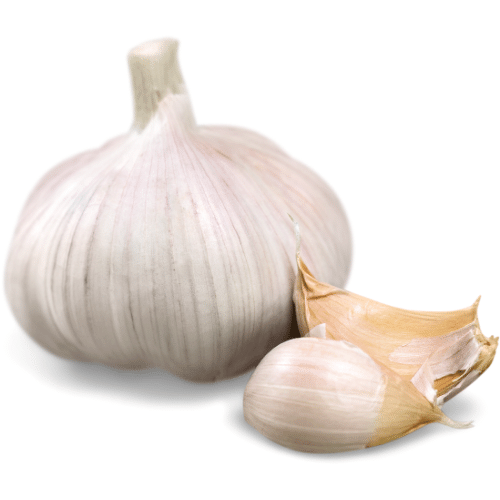 Garlics - Foods that Control Your Blood Sugar - FOODFACT