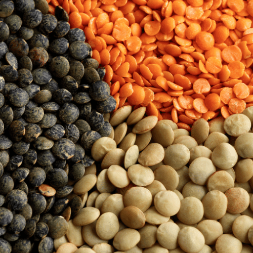 Lentils - Foods that Control Your Blood Sugar - FOODFACT